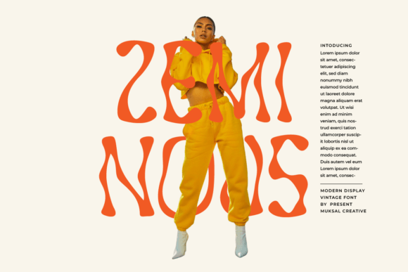 Zeminous Font: Adding Retro Character to Web Layouts